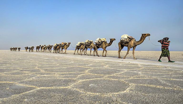 "الدناكل" الإثيوبي.. "بوابة الجحيم والجمال" في قلب أفريقيا