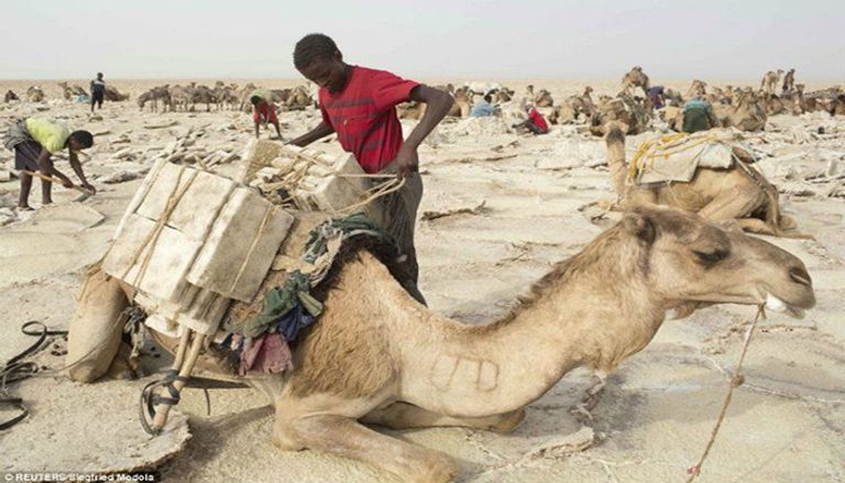 "الدناكل" الإثيوبي.. "بوابة الجحيم والجمال" في قلب أفريقيا