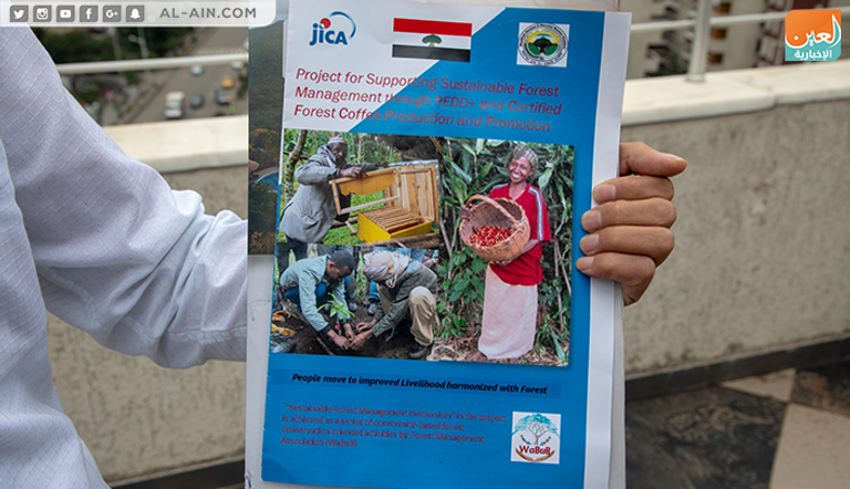 مورينغا تايوتشي، منسق مشروع إدارة الغابات التابع للوكالة اليابانية