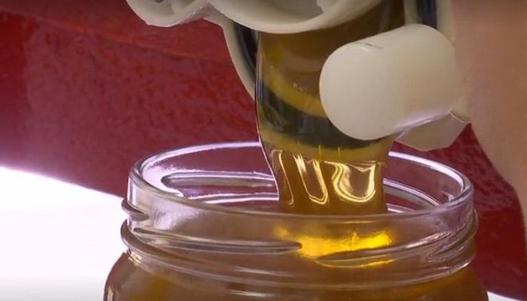 إنتاج العسل يتراجع في الأردن.