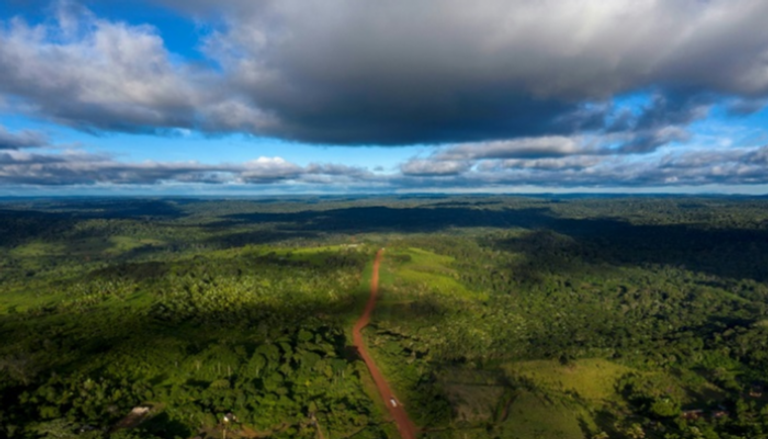 معدل إزالة الغابات في الأمازون ارتفع مجدداً