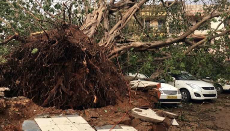 الإعصار "فاني" يجتاح الهند