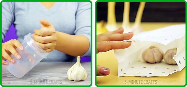 10 حيل تتيح حِفظ الفواكه والخضروات من التلف.