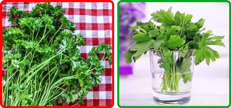 10 حيل تتيح حِفظ الفواكه والخضروات من التلف.