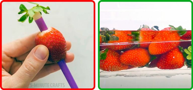 10 حيل تتيح حِفظ الفواكه والخضروات من التلف.