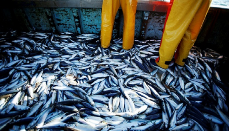 الثروة السمكية مُهدّدة نتيجة الصيد الجائر.