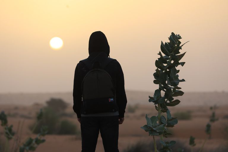 مشهد من مسلسل "عندما تشيخ الذئاب"