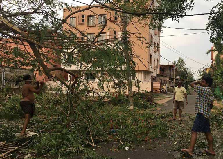 جانب من خسائر "فاني" في الهند.