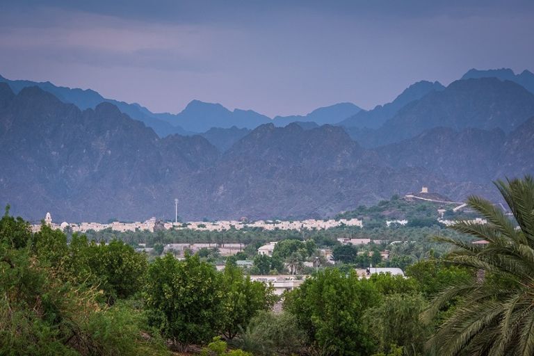 دبي تؤكد مكانتها كوجهة سياحية عالمية