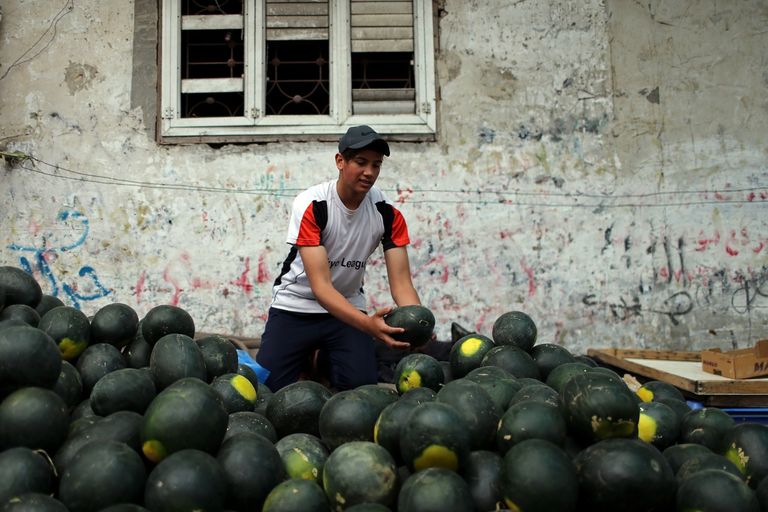 غزة عقب العدوان.. أمل الحياة يكسر ألم المجزرة