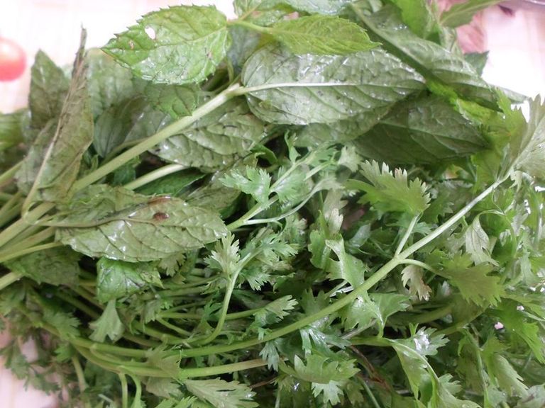 البقدونس طبق شوربة "المْقَطْفَة" التقليدي الجزائري