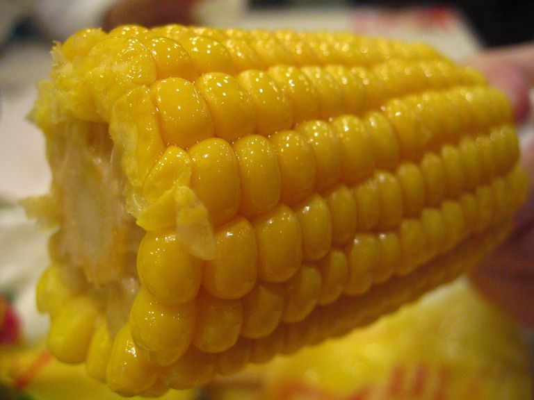 فوائد الذرة الصفراء الصحية