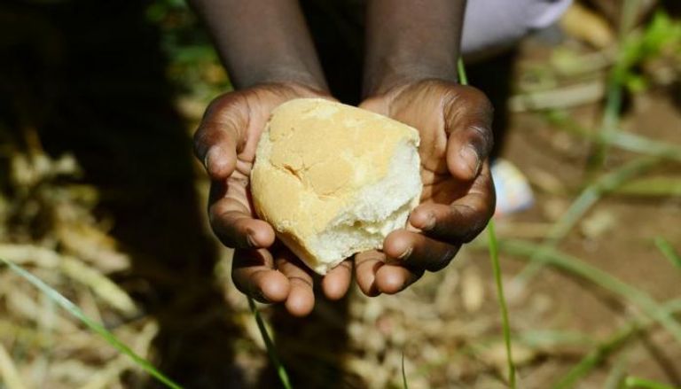 52 مليونا يعانون نقص التغذية بالشرق الأدنى وشمال أفريقيا - أرشيفية