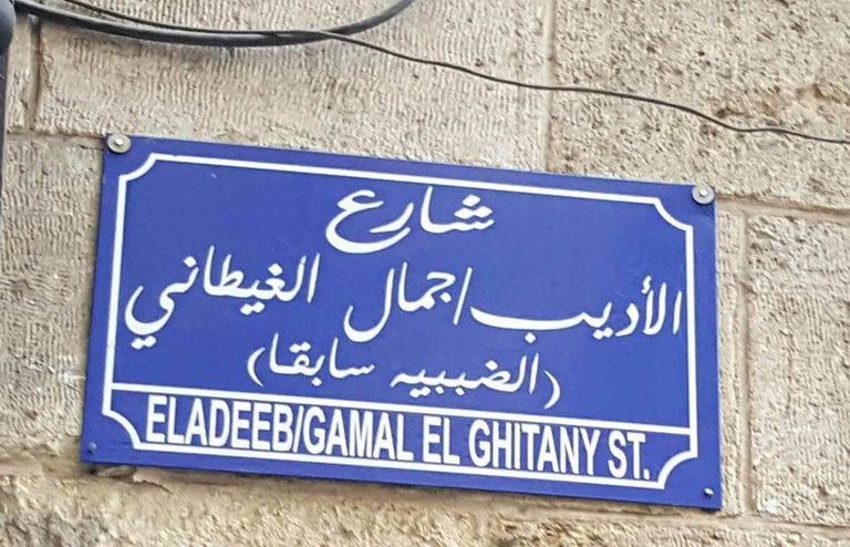 الروائي المصري جمال الغيطاني