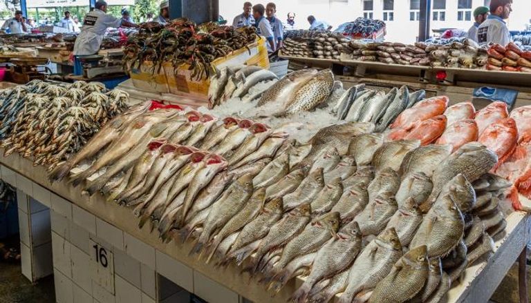 الأسماك في سوق العبور