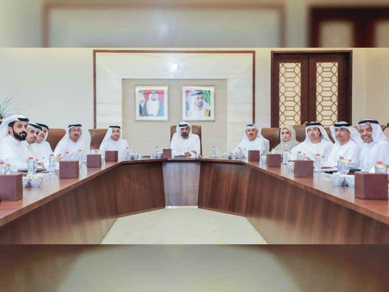 مجلس المناطق الحرة بدبي ينتهي من دراسة مبادرة التجارة الإلكترونية