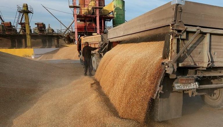 مصر تتسلم كميات كبيرة من القمح المحلي