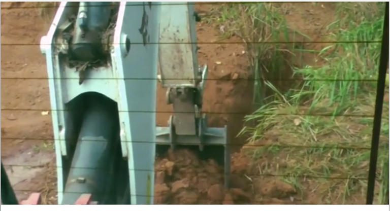 الفيل الصغير وسط حفرة الوحْل.