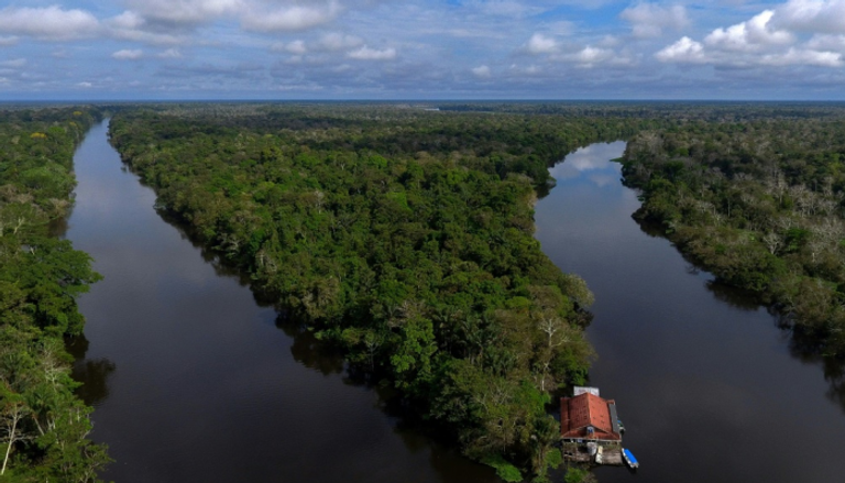 "بروفيدانس".. نظام متطور يراقب وضع التنوع الحيوي في الأمازون