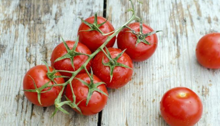 الطماطم تحمي الجلد من تأثير الأشعة فوق البنفسجية- أرشيفية