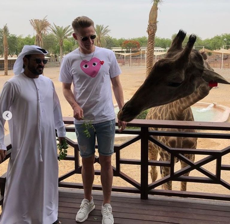 ماكتوميناي في دبي