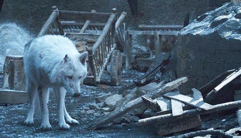 الممثلة إميليا كلارك التي عرفناها بشخصية "أم التنانين"