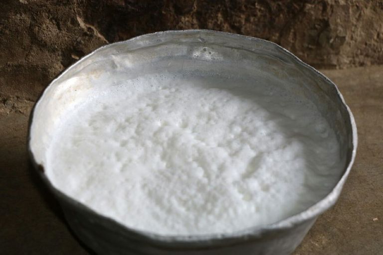 أحد متاجر بيع الجبن البلدي في تعز اليمنية