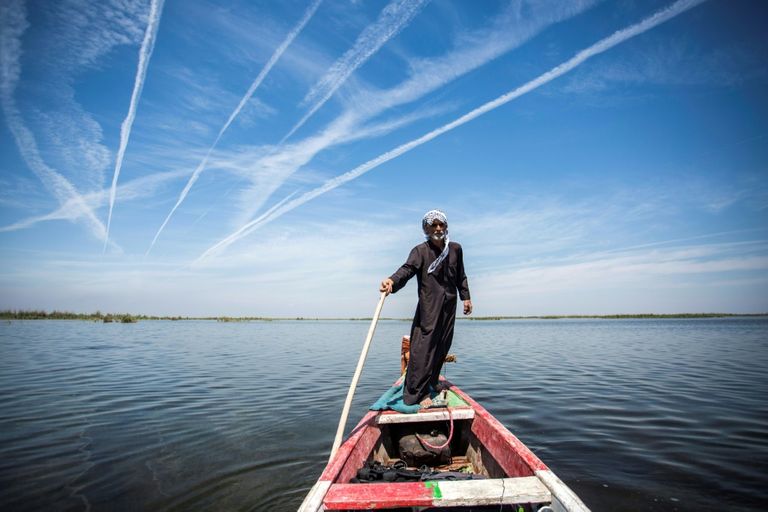 عودة الساحة البيئية في أهوار العراق