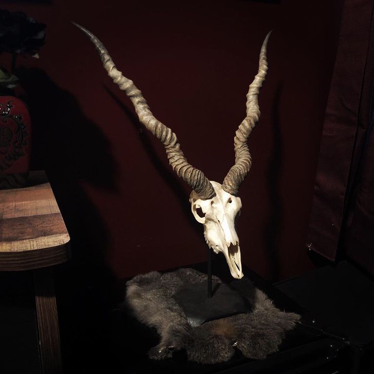 فندق الرعب في ولاية كولورادو الأمريكية