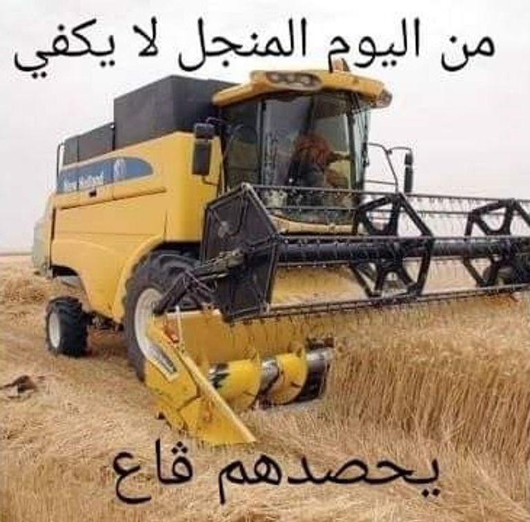 شعار المنجل في الجزائر شعار المنجل في الجزائر