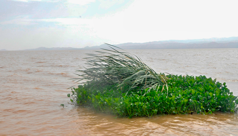 بحيرات إثيوبيا مهددة بورد النيل