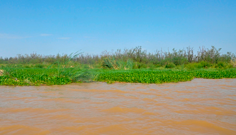 بحيرات إثيوبيا مهددة بورد النيل