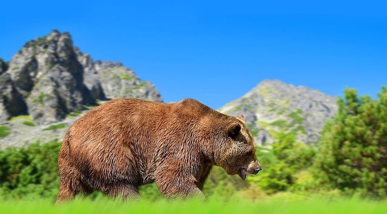 مدريد في المركز الثاني بقائمة