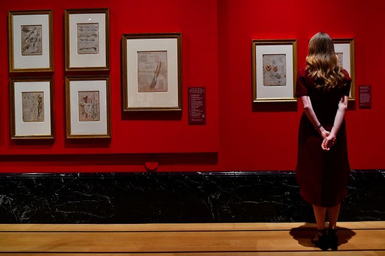 عرض لوحة نادرة في معرض ليوناردو دافنشي بقصر باكنجهام