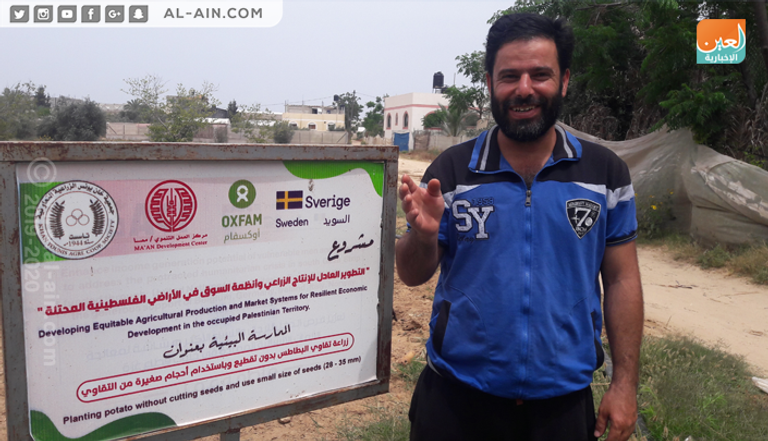 البطاطس تفتح أبواب الرزق لشباب غزة