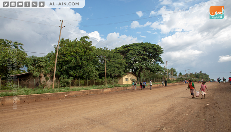 أشجار المانجو في مدينة 