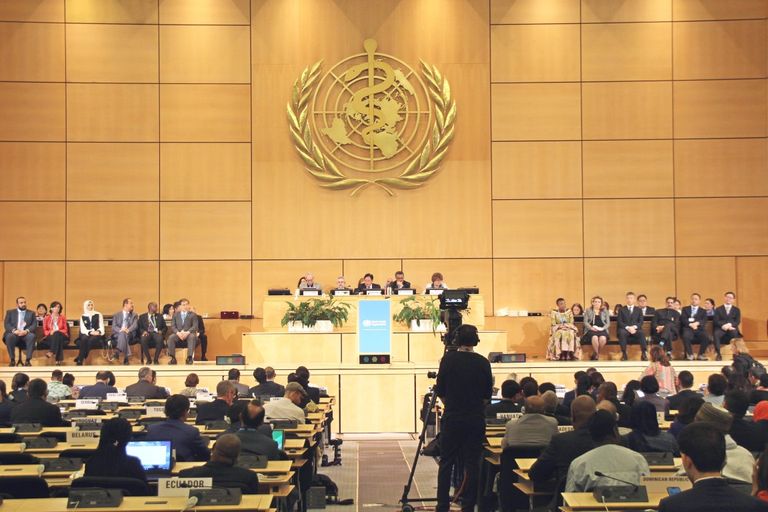 جانب من حضور اجتماع منظمة الصحة العالمية.