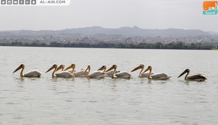 بحيرة تانا أكبر بحيرة في إثيوبيا