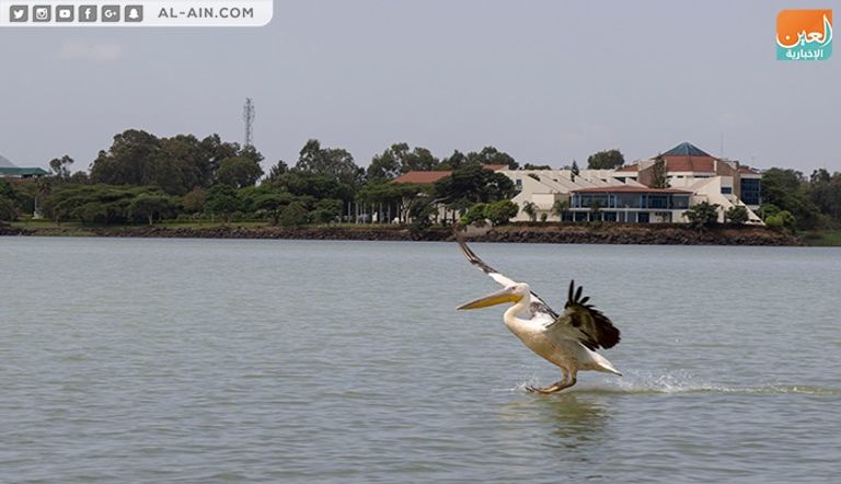 موجز العين للسياحة