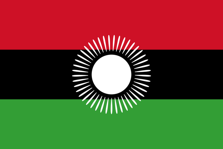 علم مالاوي الرئيس المالاوي بيتر موثاريكا