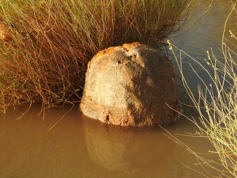 أحد الألغام الحوثية التي كشفتها السيول