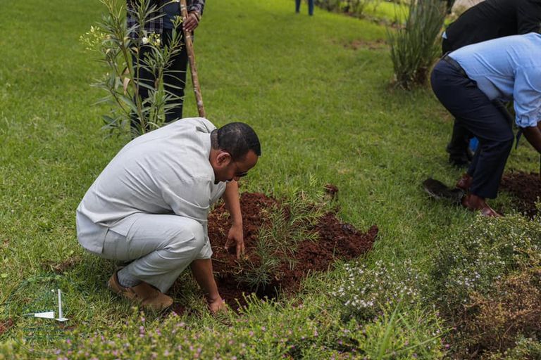 إثيوبيا تحتفل بذكرى انتصار 28 مايو ببرامج مختلفة