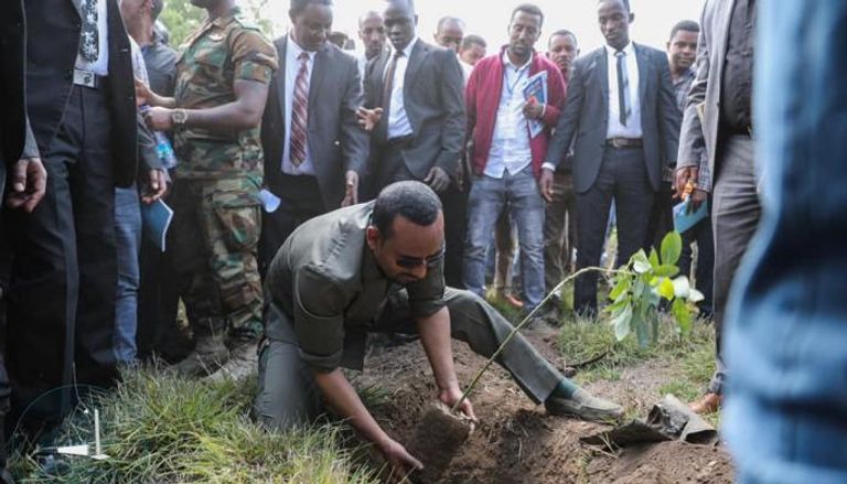 رئيس الوزراء الإثيوبي يغرس إحدى الشجيرات