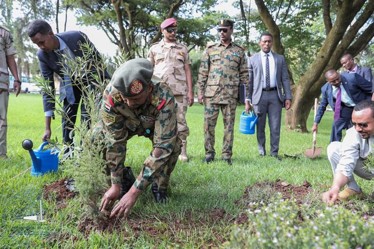 رئيس الوزراء الإثيوبي يغرس إحدى الشجيرات