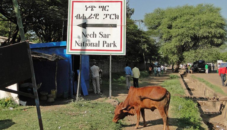 المناظر الفريدة بحديقة "نتش سار" الإثيوبية