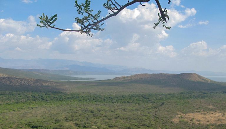 المناظر الفريدة بحديقة "نتش سار" الإثيوبية