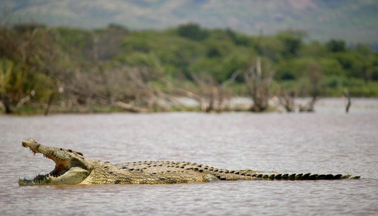المناظر الفريدة بحديقة "نتش سار" الإثيوبية