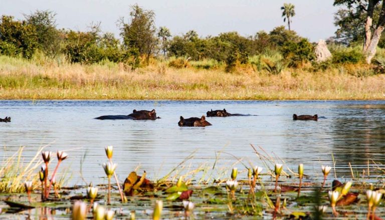 المناظر الفريدة بحديقة "نتش سار" الإثيوبية