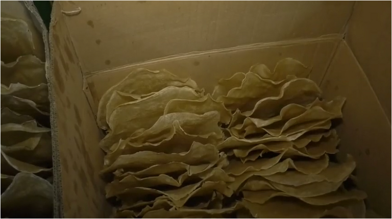 الخباز السوري محمد طراف