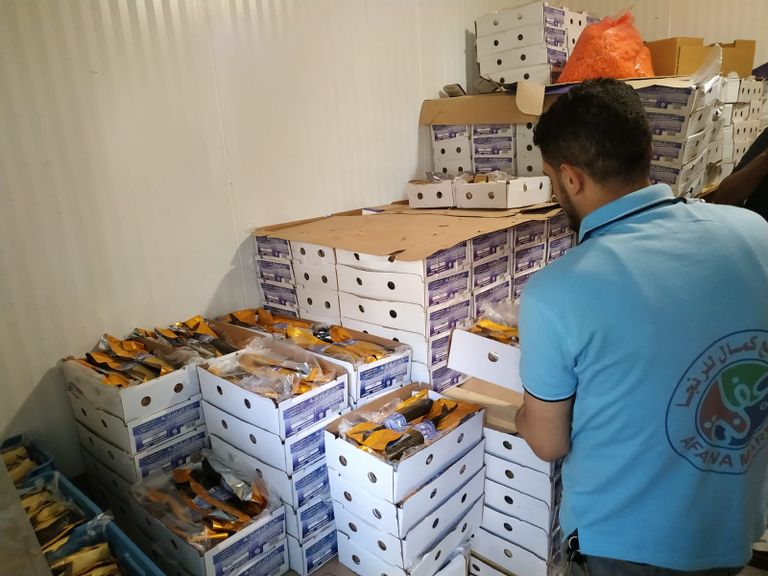 مراحل تصنيع الفسيخ والرنجة داخل أحد المعامل في غزة